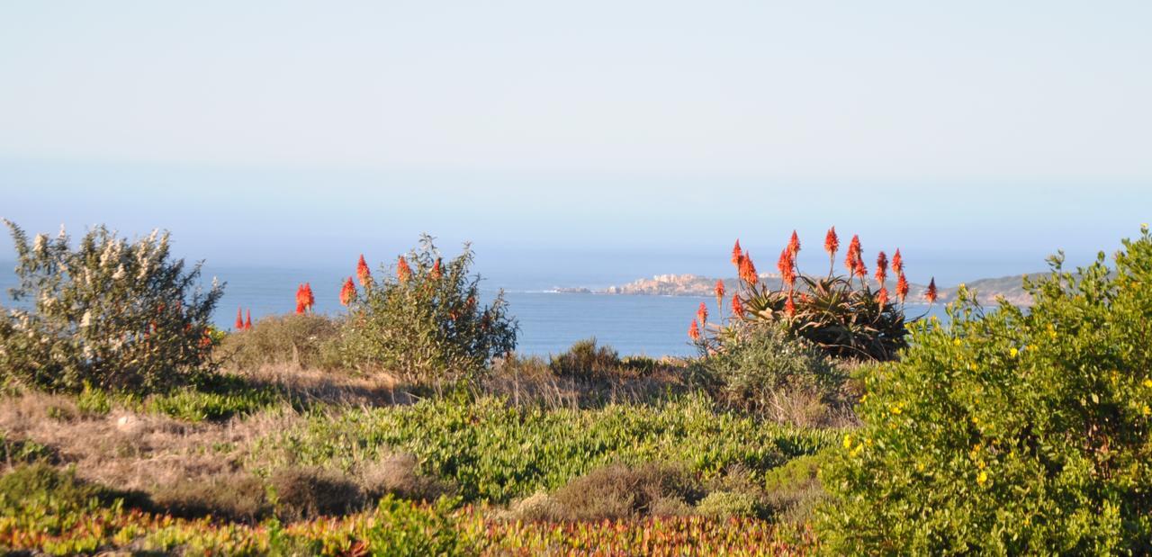 Ocean View Cottage, Springerbaai Boggomsbaai Exterior photo