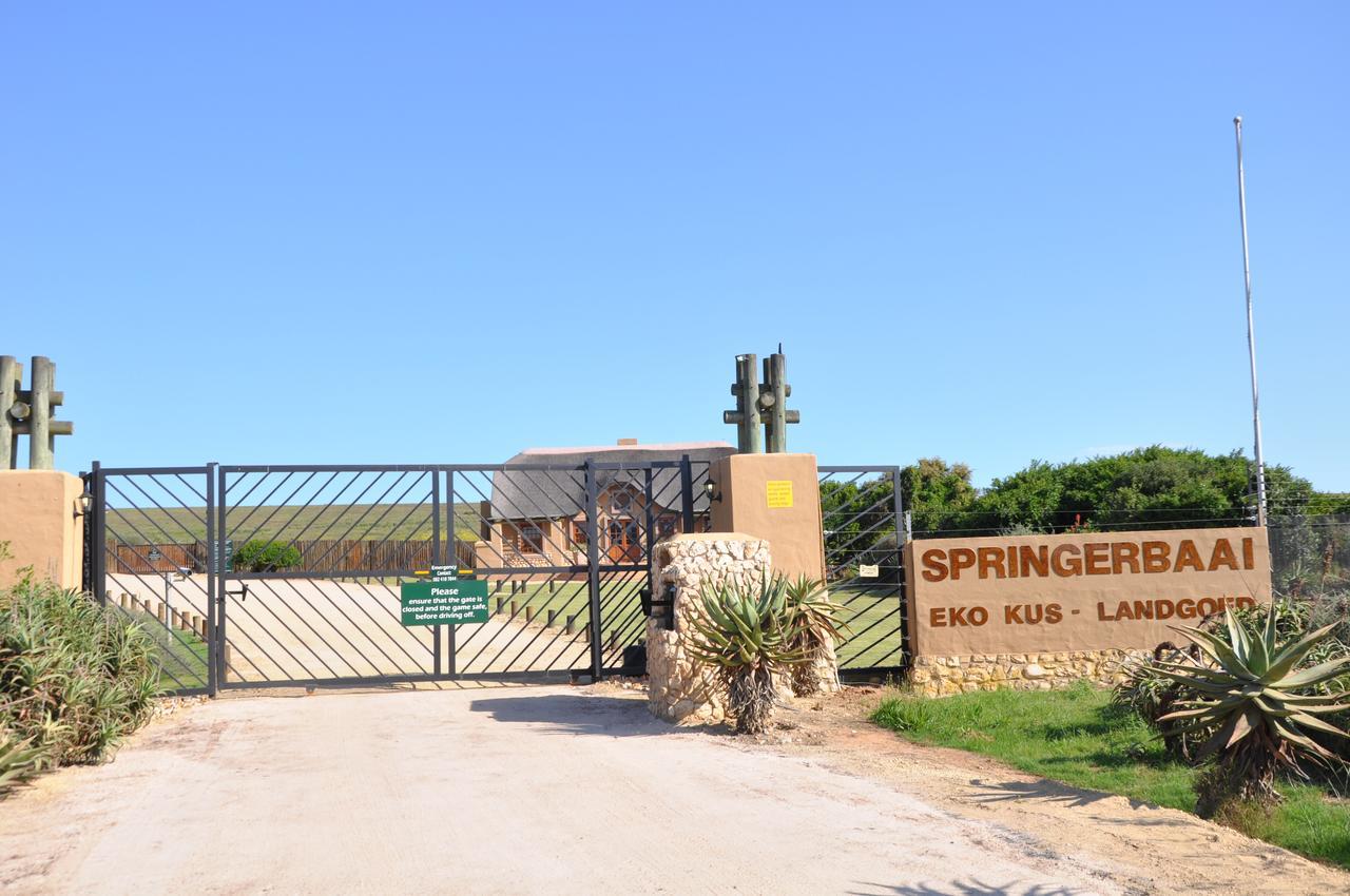 Ocean View Cottage, Springerbaai Boggomsbaai Exterior photo